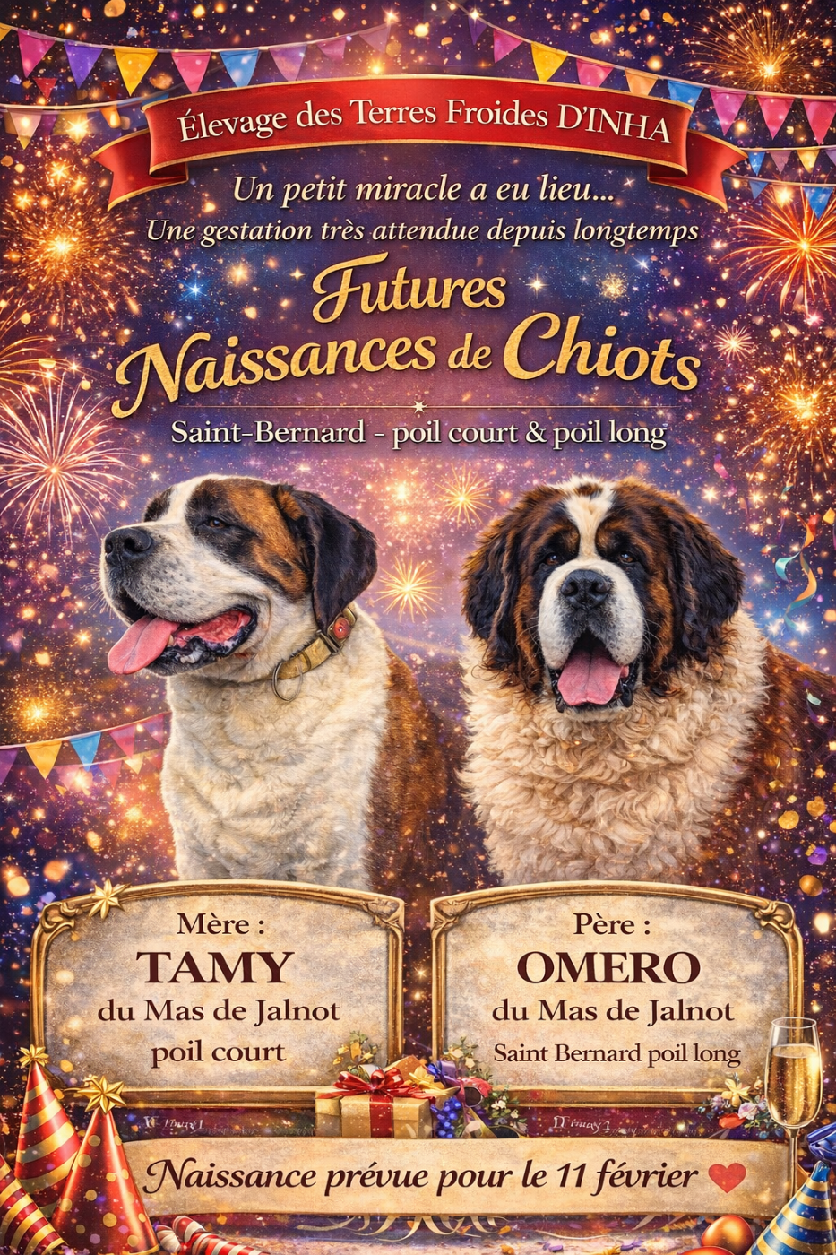 Bientôt des bébés pour bien démarré l'année !!